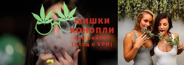 шишки Волосово