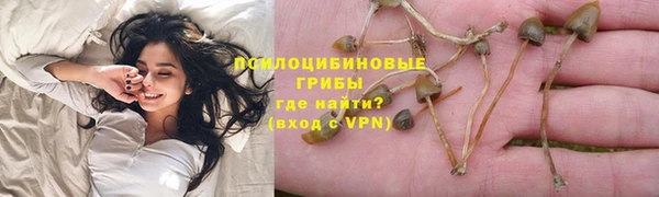 ALPHA PVP Покачи
