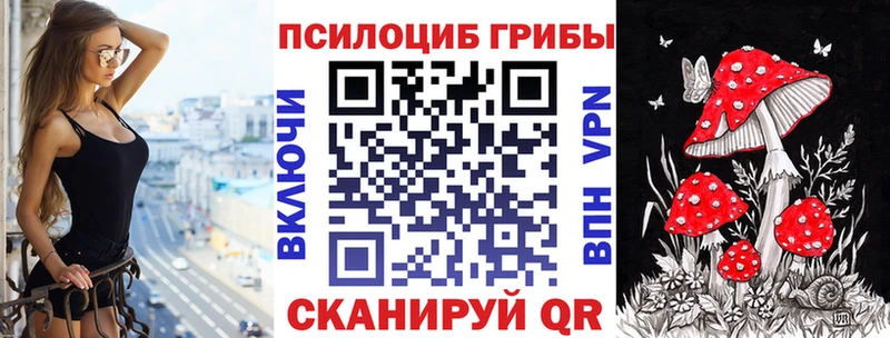 МЕГА онион  Зверево  Псилоцибиновые грибы мицелий 