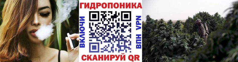 цена   Зверево  это как зайти  Каннабис конопля 